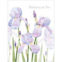 B035 Thinking of You Irises Gift Card