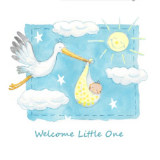 JC064 Welcome Little One (Blue) greeting card