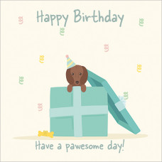 FP5052 Have a Pawesome Birthday!