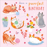 FP5161 Have a Purrfect Birthday