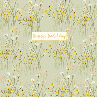 FP5182 Happy Birthday Daisies