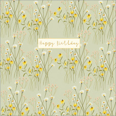 FP5182 Happy Birthday Daisies