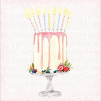 FP6231 Make a Birthday Wish (Cake)