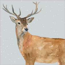 XC087s Deer in the Snow (Single)