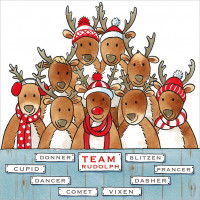 XC154 Team Rudolph! (Pk 8)