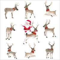 XC169 Nine Reindeer and One Santa (Single)