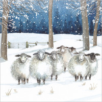 XC170 Winter Sheep (Pk 8)
