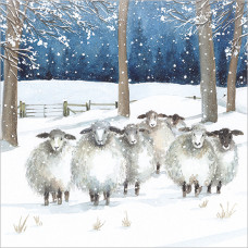 XC170 Winter Sheep (Single)