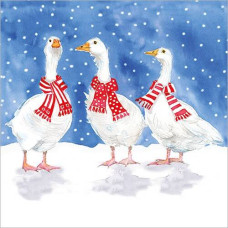 XCA01 Geese In Scarves (Pk 8) cards