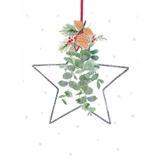 XCA08 Star With Eucalyptus (Pk 8) Christmas cards