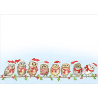 XNC01 Christmas Owlets Notecards (Pk 8)