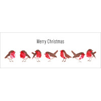 XCB02 Merry Christmas Robins (pk 8) cards