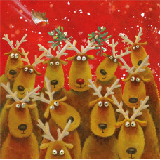 XCB11Reindeer and Mistletoe (Pk 8) Christmas cards