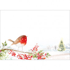 XN010 Robin with Berries (Pk 10) Notecards
