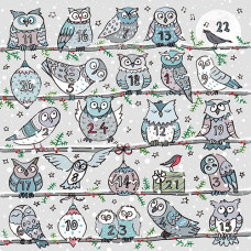 XADV25 Little Owls Advent Calendar