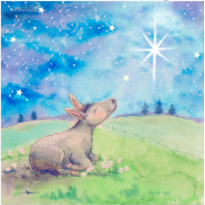 JC057 Donkey Christmas card