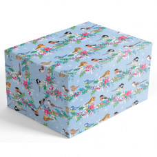 XGW022 Little Winter Birds Gift Wrap (1 sheet)