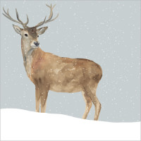 XC017 Reindeer in the Snow (Single)
