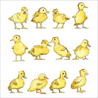 FP5020 Ducklings