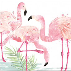 FP6008 Pink Flamingos