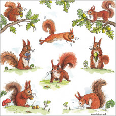 FP6023 Red Squirrel