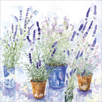 FP6027 Lavender Pots