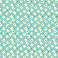 GW192 Flowers and Stars Gift Wrap