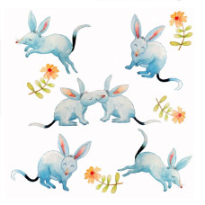 JC060 Bilbies greeting card