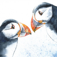 FP5189 Two Puffins card