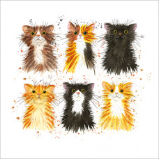 FP5201 Little Kittens greeting card