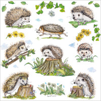FP6179 Hedgehogs