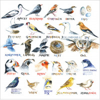 FP6180 Bird Alphabet