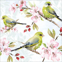 FP6196 Blossom and Greenfinches