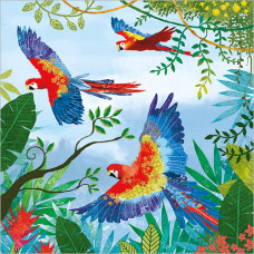 FP6330 Parrots greeting card