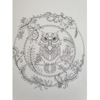 JB06 Wise Owl (Colour-in)