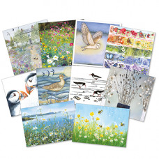 BSP0510 Nature Pack (10 cards)