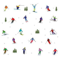FP5088 Skiers