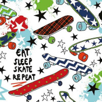 FP5094 Eat Sleep Skate Repeat