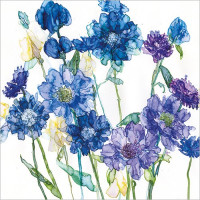 A042 Cornflowers and Scabious greeting card