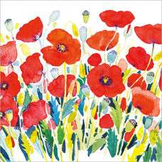 FP6291 Poppies card