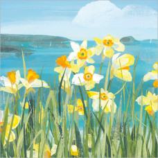 FP6302 Daffodils by the Coast greeting card