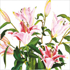 FP6303 Pink Lilies greeting card