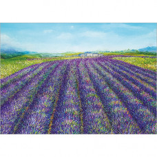 FP7032 Lavender Fields