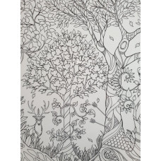 JB07 Enchanted Forest (Colour-in)