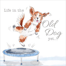A009 Life in the Old Dog Yet greeting card