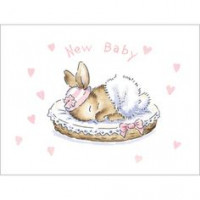 B032 New Baby Bunny (Pink) Gift Card