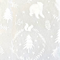 TS22 Woodland Critters Tissue Paper (5 sheets)