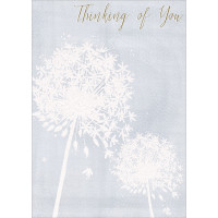 B010 Thinking of You greeting card