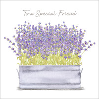 A033 Lavender Special Friend greeting card