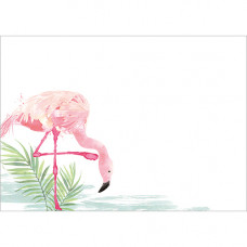 NC005 Pink Flamingos Notecards (Pk 10)